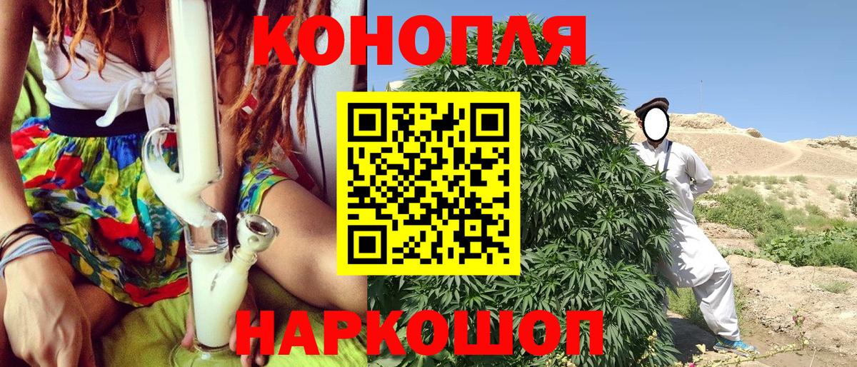 Бошки Шишки семена Калач-на-Дону